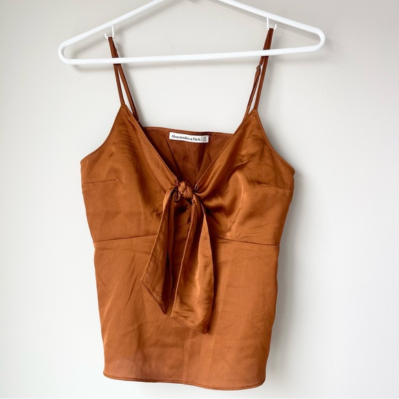Abercrombie & Fitch Tops - Abercrombie Shiny Brown Cami